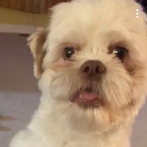 Meet your Posher, Trystan